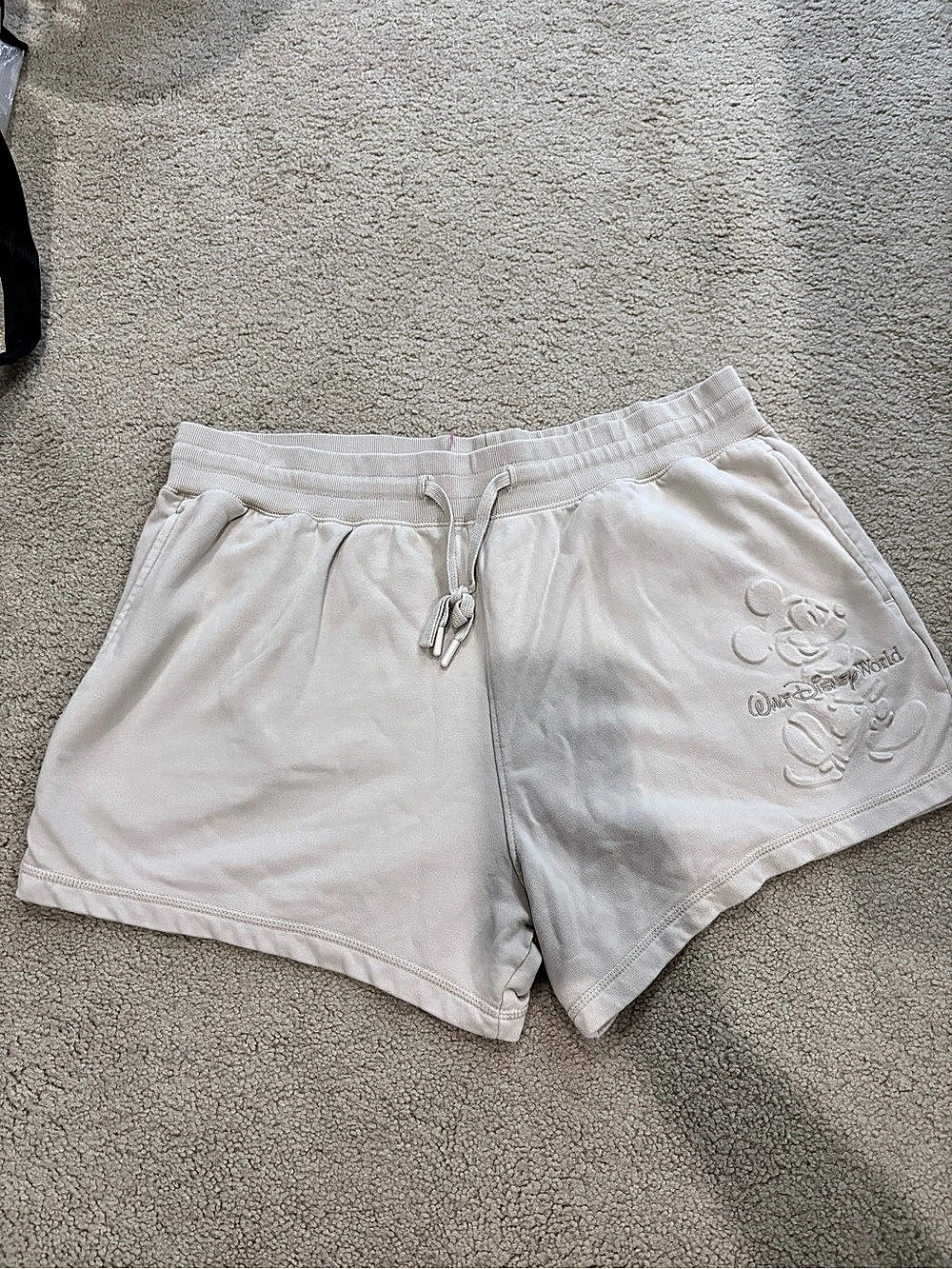 Women’s Disney Embroidered Shorts size 1X